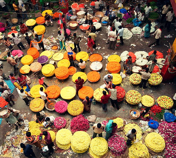 India Flower Market
